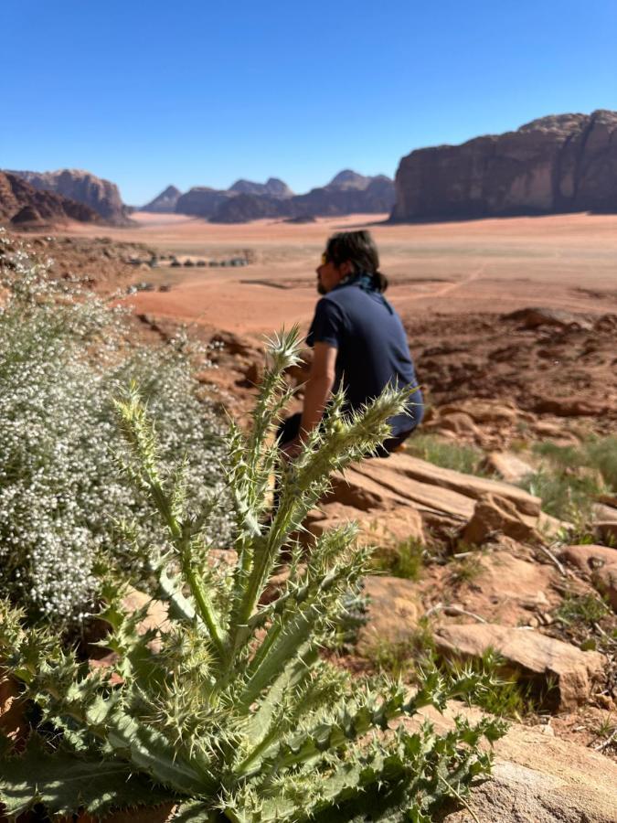 Hotel Bedouin Future Camp Wadi Rum Exterior foto