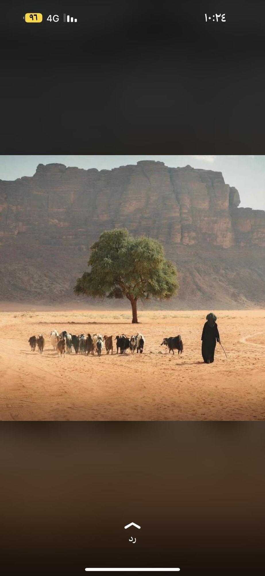 Hotel Bedouin Future Camp Wadi Rum Exterior foto