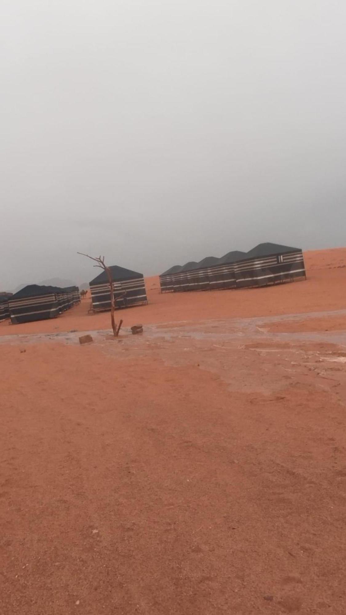 Hotel Bedouin Future Camp Wadi Rum Exterior foto